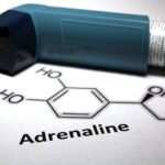 Yeni Nesil Adrenalin Uygulaması Neffy Sprey Formu