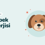Alerji açısından dişi köpek mi, erkek köpek mi tercih edilmelidir?