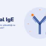 Total IgE Nedir? Yüksek veya Normal Olması Ne Anlama Gelir?