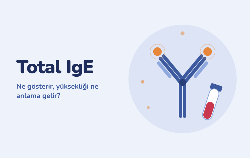 Total IgE Nedir? Yüksek veya Normal Olması Ne Anlama Gelir?