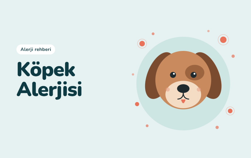 Alerji açısından dişi köpek mi, erkek köpek mi tercih edilmelidir?